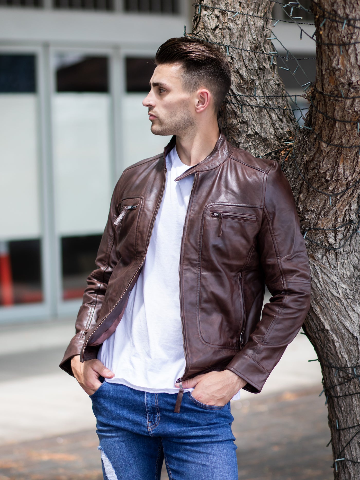 Bradford Brown Leather Jacket